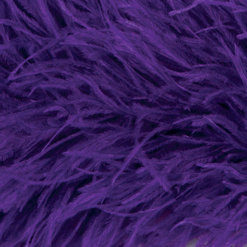 straussenboa_purple